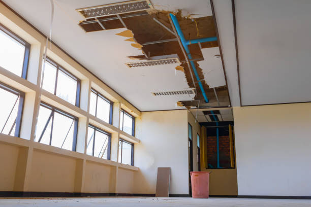 Best Local water damage restoration  in Tuscoosa, AL