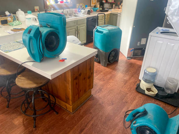 Best Water damage cleanup near me  in Tuscoosa, AL