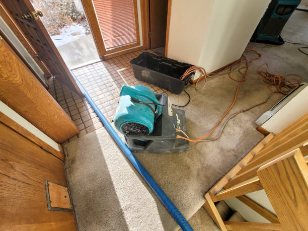 Best Water damage restoration near me  in Tuscoosa, AL