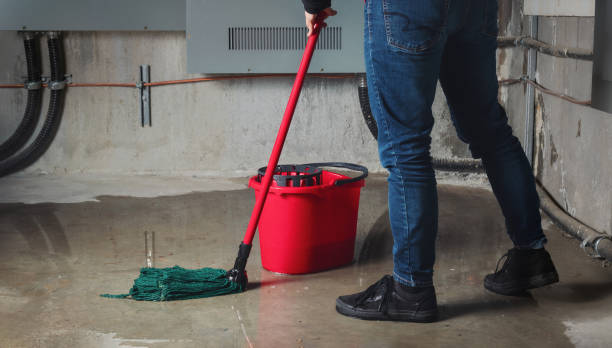  Tuscoosa, AL Water damage restoration Pros
