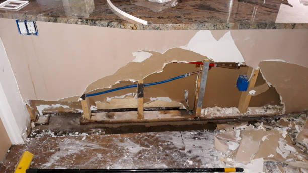 Best Flood damage cleanup  in Tuscoosa, AL