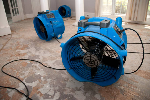 Best Local water damage restoration  in Tuscoosa, AL