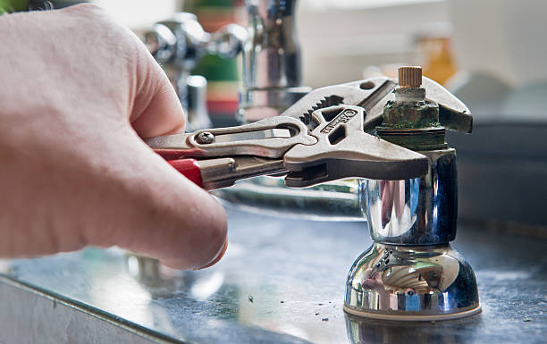 Best Water damage cleanup near me  in Tuscoosa, AL