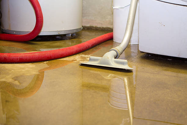 Best Sewage cleanup and water damage restoration  in Tuscoosa, AL