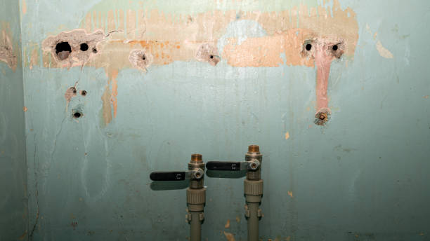 Best Flooded house restoration  in Tuscoosa, AL