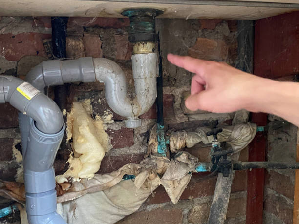 Best Water damage restoration mold remediation  in Tuscoosa, AL
