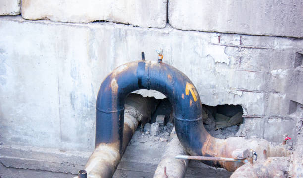 Best Ceiling water damage repair  in Tuscoosa, AL