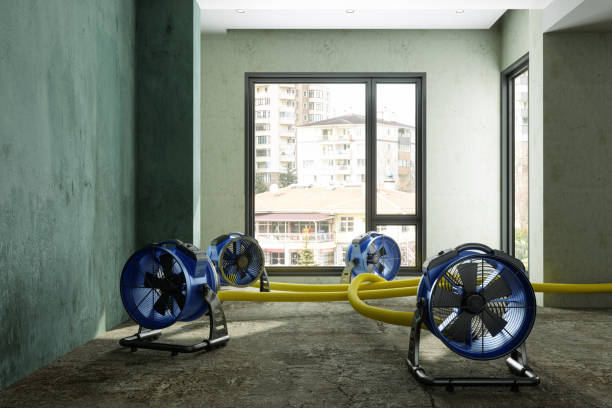 Best Professional water damage repair  in Tuscoosa, AL