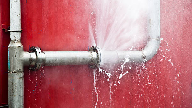 Best Water damage restoration near me  in Tuscoosa, AL